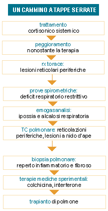  Schema 1